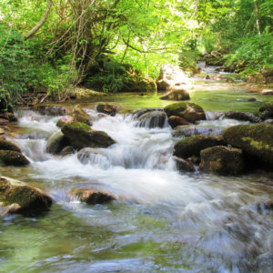 Valle orfento - F.Bulgarini